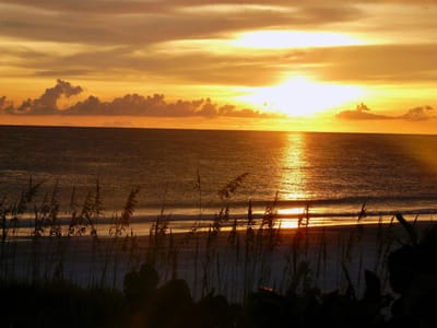 The sun low over the Gulf of Mexico, seen through silhouetted sea oats on a dune.