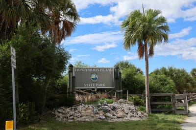 The entrance sign for Honeymoon Island State Park, a grey panel on wooden pilings with the Florida Park Service emblem, flanked by cabbage palms and coastal scrub.