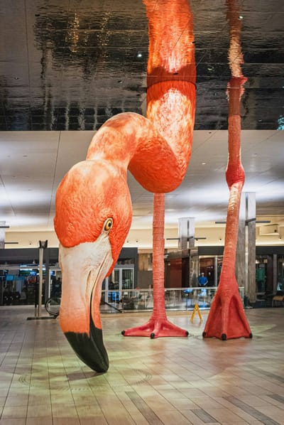 A monumental flamingo sculpture stands in an airport terminal, its neck curving down so the tip of its beak rests on the tiled floor between its legs.